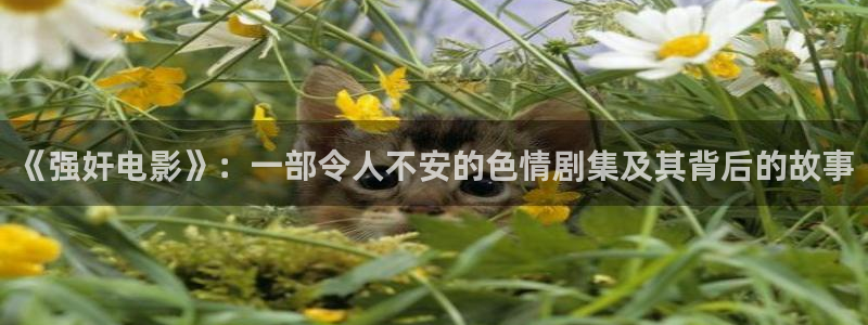 免费看欧美aaa片：《强奸电影》：一部令人不安的色情剧集及其背后的故事
