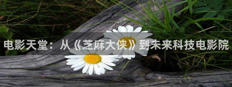 光棍影院aaa：电影天堂：从《芝麻大侠》到未来科技电影院