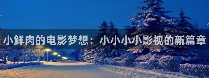 欧美aa免费大片：小鲜肉的电影梦想：小小小小影视的新篇章