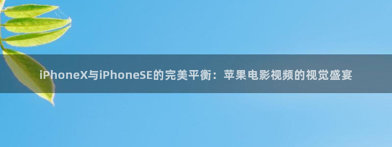 aaa午夜电影：iPhoneX与iPhoneSE的完美平衡：苹果电影视频的视觉盛宴
