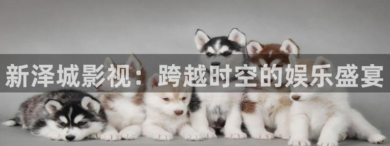 欧美aaaaa电影：新泽城影视：跨越时空的娱乐盛宴