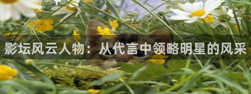 午夜aa电影：影坛风云人物：从代言中领略明星的风采