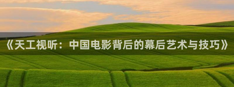 午夜电影aaa：《天工视听：中国电影背后的幕后艺术与技巧》